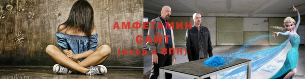 молекула духа Белокуриха