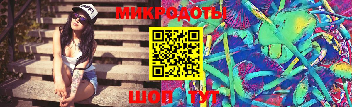 что такое   Вход с VPN  Верхний Уфалей  Галлюциногенные грибы мицелий 